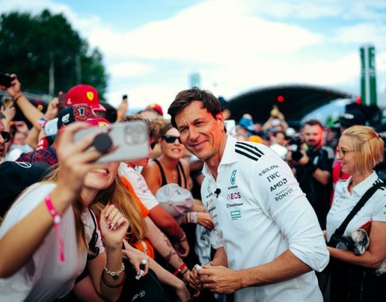 Toto Wolf nem bocsát meg és nem is felejt